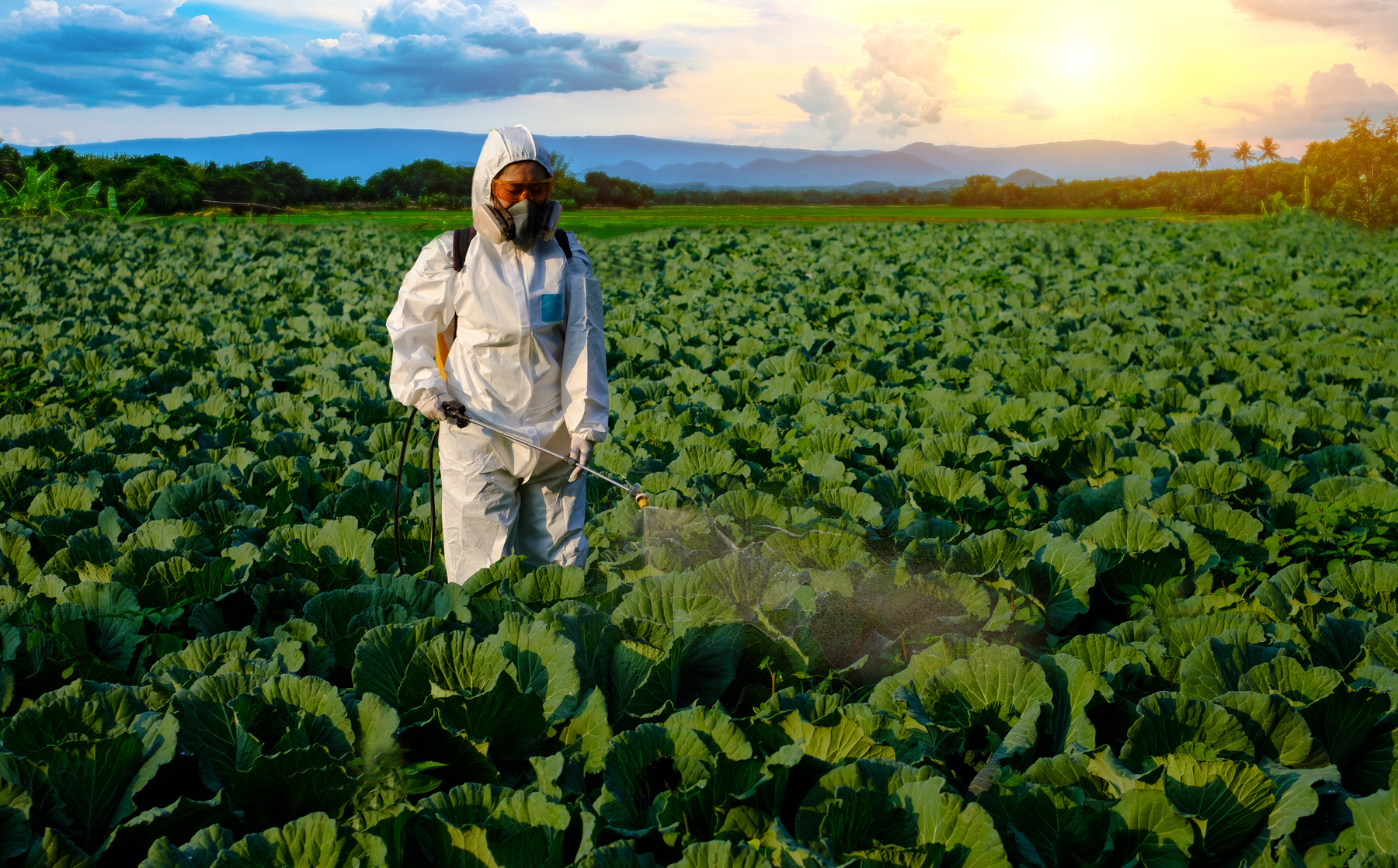 Farmer in Protective Suit Spraying Fertilizer on Crops